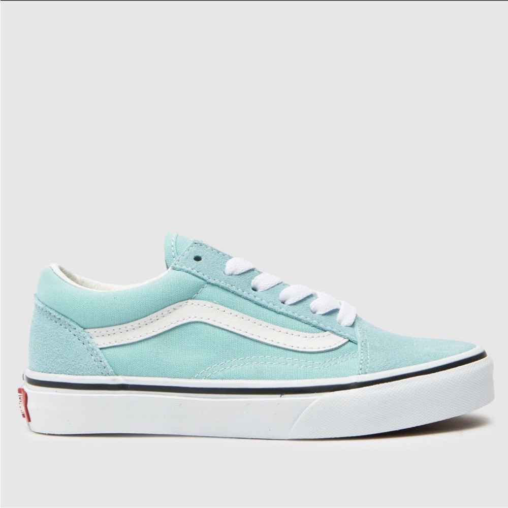 Low top Blue Vans
